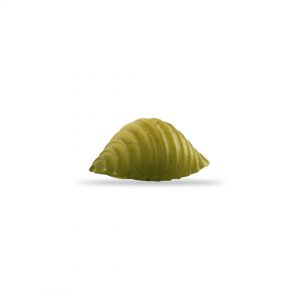 Shells Vegetables